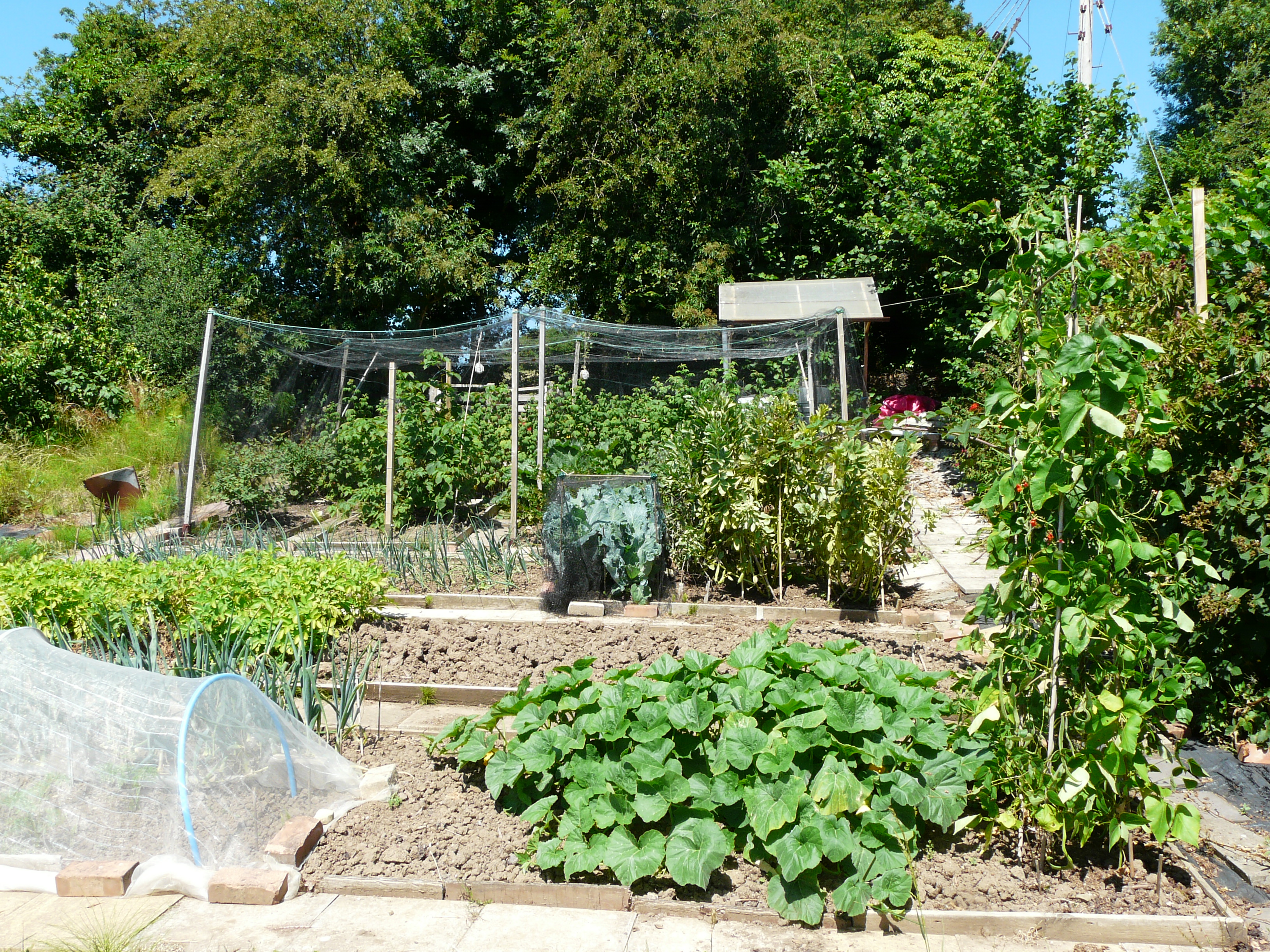 Peterston Allotments